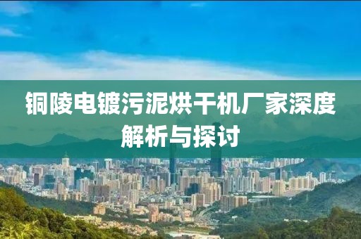 铜陵电镀污泥烘干机厂家深度解析与探讨