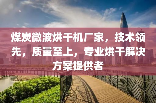 煤炭微波烘干机厂家，技术领先，质量至上，专业烘干解决方案提供者