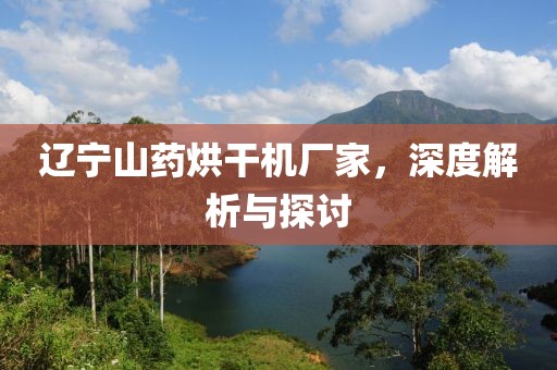 辽宁山药烘干机厂家，深度解析与探讨