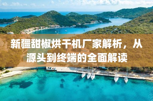 新疆甜椒烘干机厂家解析，从源头到终端的全面解读