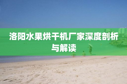 洛阳水果烘干机厂家深度剖析与解读