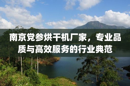 南京党参烘干机厂家，专业品质与高效服务的行业典范