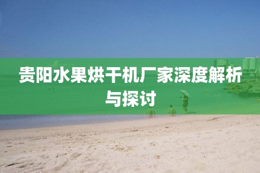 贵阳水果烘干机厂家深度解析与探讨