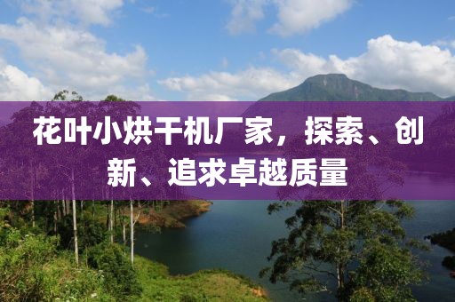 花叶小烘干机厂家，探索、创新、追求卓越质量