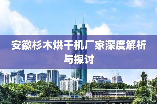 安徽杉木烘干机厂家深度解析与探讨