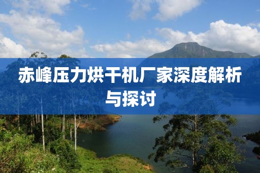 赤峰压力烘干机厂家深度解析与探讨