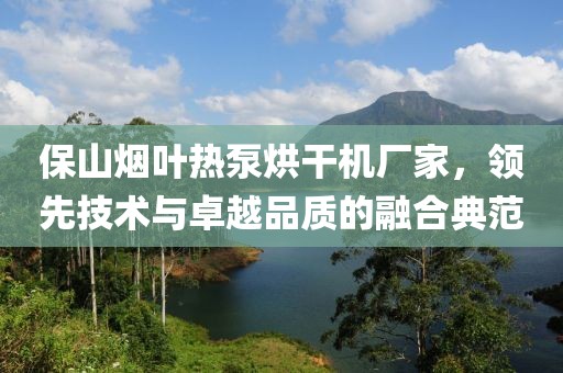 保山烟叶热泵烘干机厂家，领先技术与卓越品质的融合典范