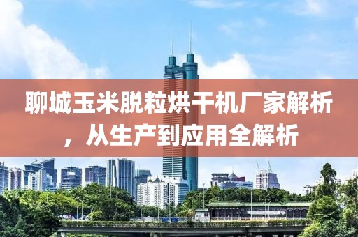 聊城玉米脱粒烘干机厂家解析，从生产到应用全解析