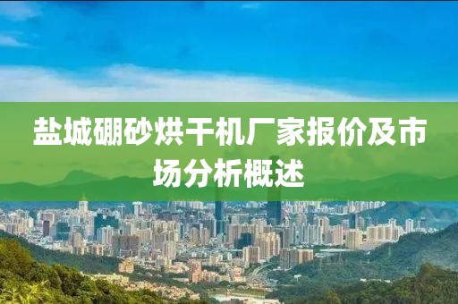 盐城硼砂烘干机厂家报价及市场分析概述