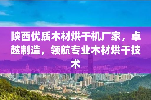 陕西优质木材烘干机厂家，卓越制造，领航专业木材烘干技术