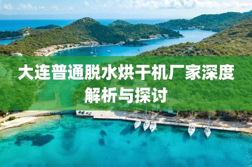 大连普通脱水烘干机厂家深度解析与探讨