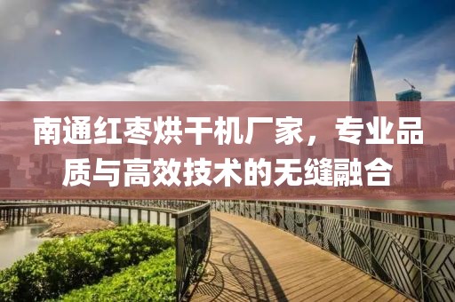 南通红枣烘干机厂家，专业品质与高效技术的无缝融合