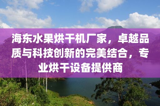 海东水果烘干机厂家，卓越品质与科技创新的完美结合，专业烘干设备提供商