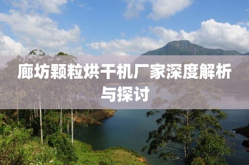 廊坊颗粒烘干机厂家深度解析与探讨