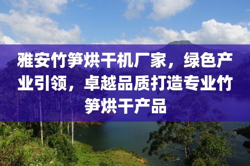 雅安竹笋烘干机厂家，绿色产业引领，卓越品质打造专业竹笋烘干产品