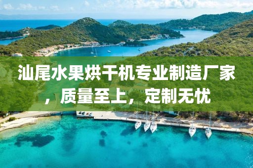 汕尾水果烘干机专业制造厂家，质量至上，定制无忧