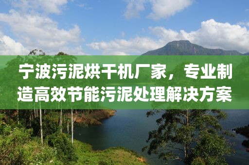 宁波污泥烘干机厂家，专业制造高效节能污泥处理解决方案