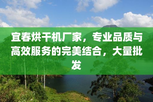 宜春烘干机厂家，专业品质与高效服务的完美结合，大量批发