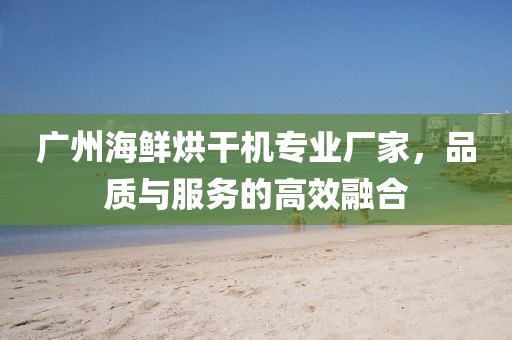 广州海鲜烘干机专业厂家，品质与服务的高效融合