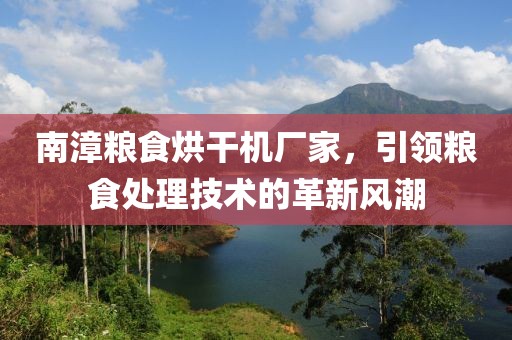 南漳粮食烘干机厂家，引领粮食处理技术的革新风潮