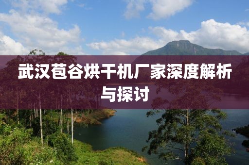 武汉苞谷烘干机厂家深度解析与探讨