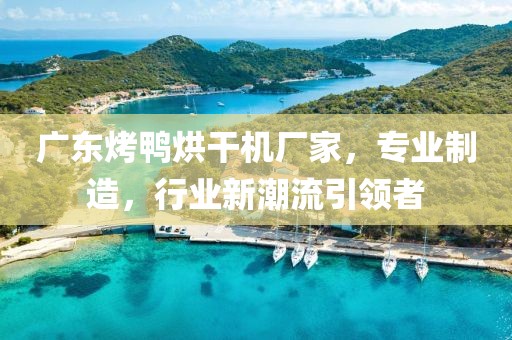 广东烤鸭烘干机厂家，专业制造，行业新潮流引领者