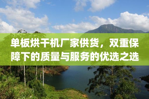 单板烘干机厂家供货，双重保障下的质量与服务的优选之选