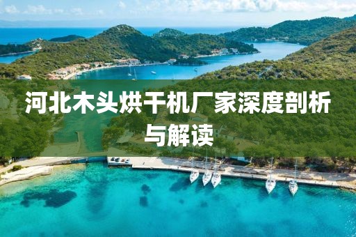 河北木头烘干机厂家深度剖析与解读