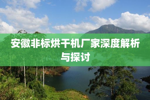 安徽非标烘干机厂家深度解析与探讨