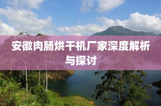 安徽肉肠烘干机厂家深度解析与探讨