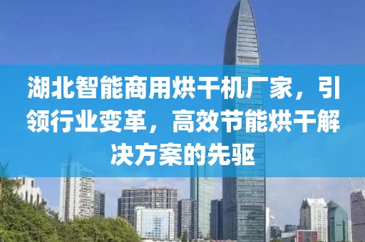 湖北智能商用烘干机厂家，引领行业变革，高效节能烘干解决方案的先驱