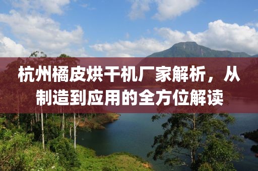 杭州橘皮烘干机厂家解析，从制造到应用的全方位解读