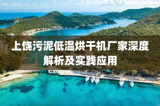 上饶污泥低温烘干机厂家深度解析及实践应用