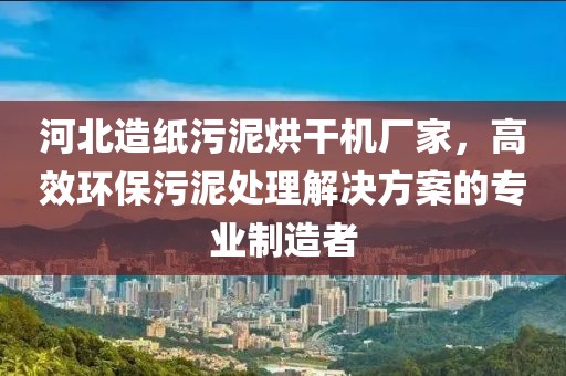 河北造纸污泥烘干机厂家，高效环保污泥处理解决方案的专业制造者