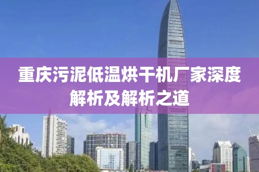 重庆污泥低温烘干机厂家深度解析及解析之道