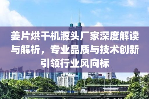 姜片烘干机源头厂家深度解读与解析，专业品质与技术创新引领行业风向标