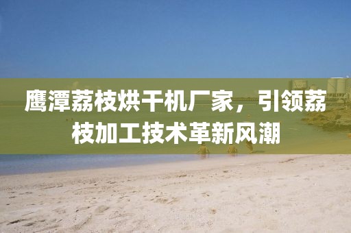 鹰潭荔枝烘干机厂家，引领荔枝加工技术革新风潮