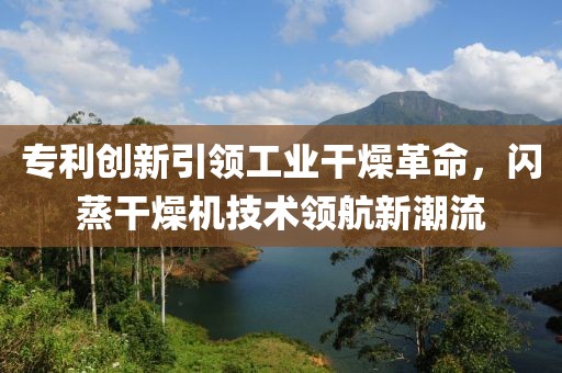 专利创新引领工业干燥革命，闪蒸干燥机技术领航新潮流