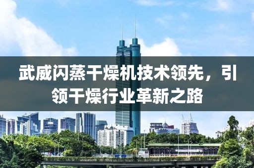 武威闪蒸干燥机技术领先，引领干燥行业革新之路