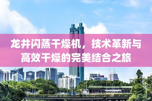 龙井闪蒸干燥机，技术革新与高效干燥的完美结合之旅