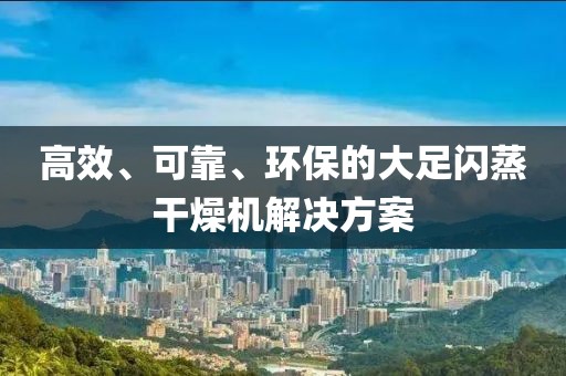 高效、可靠、环保的大足闪蒸干燥机解决方案