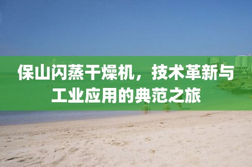 保山闪蒸干燥机，技术革新与工业应用的典范之旅