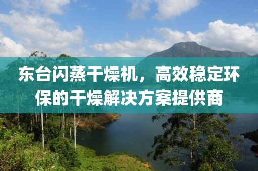 东台闪蒸干燥机，高效稳定环保的干燥解决方案提供商