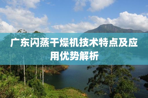 广东闪蒸干燥机技术特点及应用优势解析