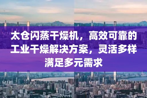 太仓闪蒸干燥机，高效可靠的工业干燥解决方案，灵活多样满足多元需求