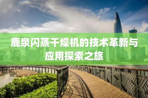 鹿泉闪蒸干燥机的技术革新与应用探索之旅