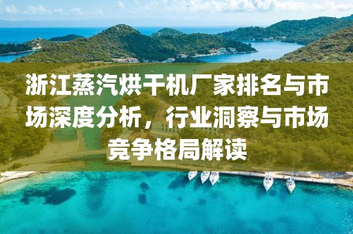 浙江蒸汽烘干机厂家排名与市场深度分析，行业洞察与市场竞争格局解读