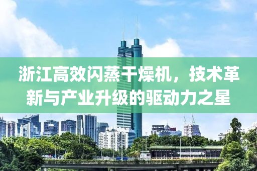 浙江高效闪蒸干燥机，技术革新与产业升级的驱动力之星