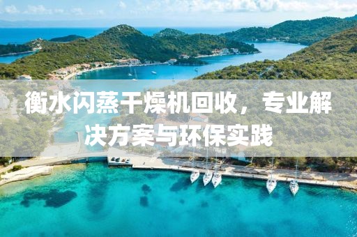 衡水闪蒸干燥机回收，专业解决方案与环保实践