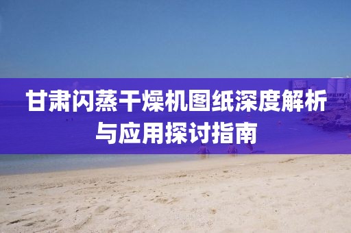 甘肃闪蒸干燥机图纸深度解析与应用探讨指南